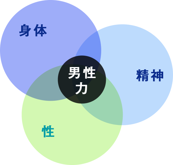 男性力ドックとは？