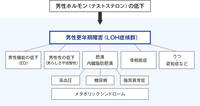 男性更年期障害（LOH症候群）について